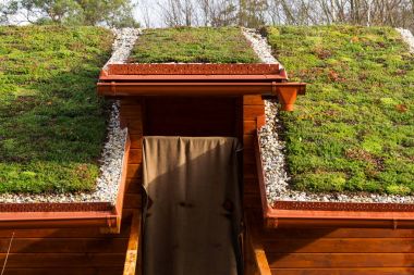 Bitki örtüsü ile kaplı ahşap bina çatısında yeşil yaşam