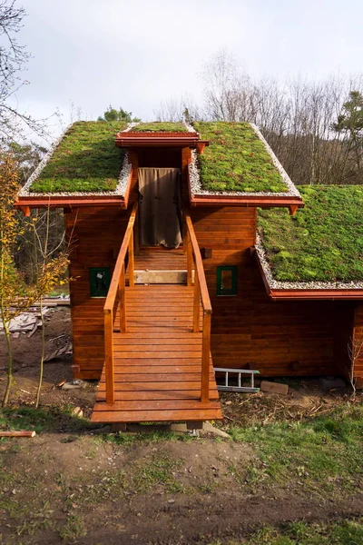 Toit vert sur bâtiment en bois recouvert de végétation — Photo