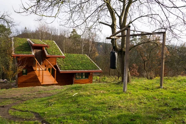 Toit vert sur bâtiment en bois recouvert de végétation — Photo