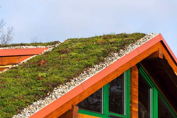 Toit vert sur bâtiment en bois recouvert de végétation — Photo