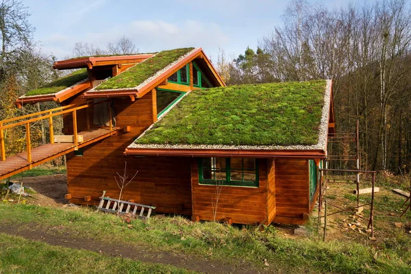 Tetto verde vivente su edificio in legno coperto di vegetazione — Foto Stock