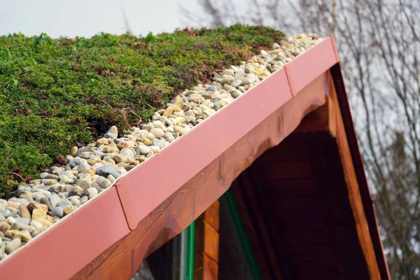 Деталь камней на обширной зеленой живой крыше растительность покрыта — стоковое фото