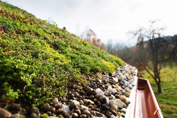 Dettaglio di pietre su ampia vegetazione verde tetto vivente coperto — Foto Stock