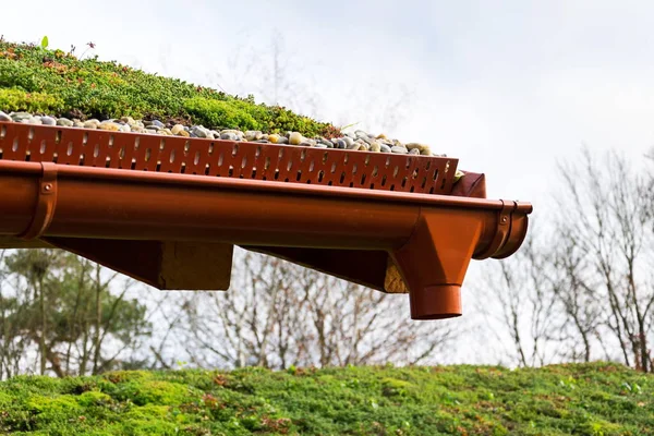 Detail of stones on extensive green living roof vegetation covered — Stock Photo, Image