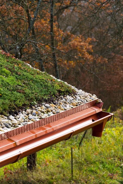 Detalhe de pedras sobre extensa vegetação telhado vivo verde coberto — Fotografia de Stock
