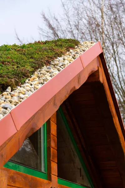 Techo Césped Ecológico Verde Edificio Madera Cubierto Vegetación Mayoría Sedum —  Fotos de Stock