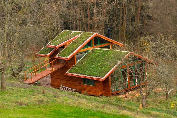 Telhado Sod Ecológico Verde Edifício Madeira Coberto Com Vegetação Principalmente — Fotografia de Stock