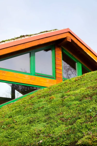 Telhado Sod Ecológico Verde Edifício Madeira Coberto Com Vegetação Principalmente — Fotografia de Stock