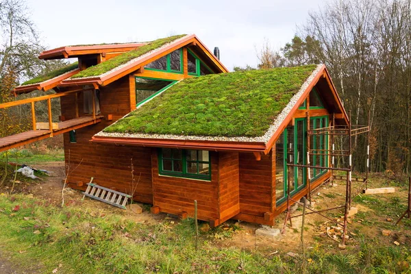 Telhado Sod Ecológico Verde Edifício Madeira Coberto Com Vegetação Principalmente — Fotografia de Stock