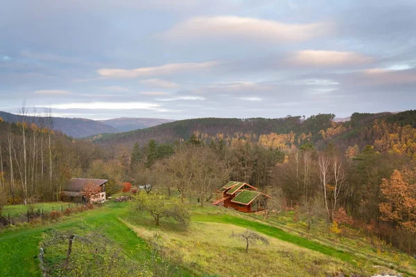 Tetto Verde Ecosod Edificio Legno Ricoperto Vegetazione Più Sedum Sexangulare — Foto Stock