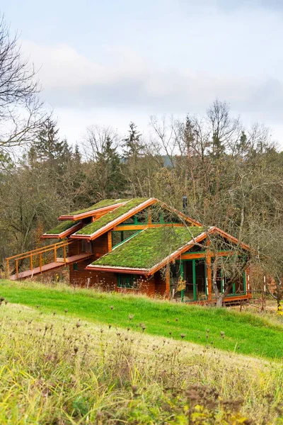 Casa Madeira Com Telhado Sod Vivo Ecológico Verde Extenso Coberto — Fotografia de Stock