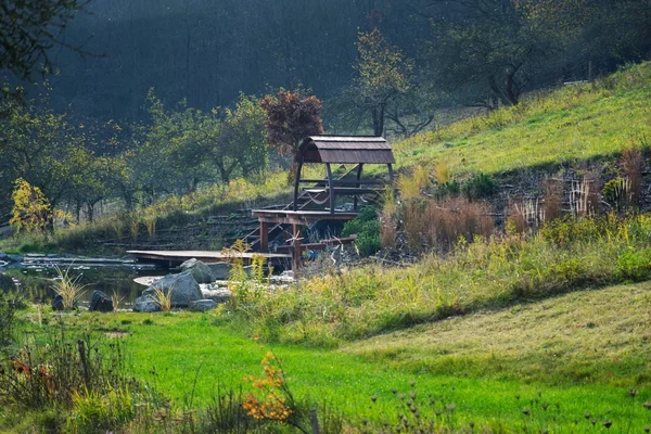 Schöner Holzsteg Naturschwimmteich Oder Pool Nsp Reinigung Des Wassers Ohne — Stockfoto