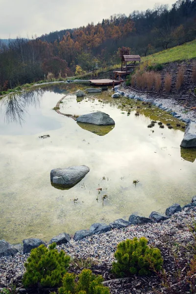 Schöner Holzsteg Naturschwimmteich Oder Pool Nsp Reinigung Des Wassers Ohne — Stockfoto