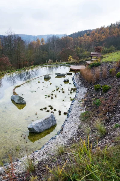 Pretty Wooden Pier Natural Swimming Pond Pool Nsp Purifying Water — Stock Photo, Image