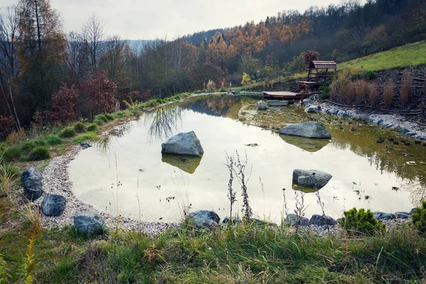 Pięknym Drewnianym Molo Naturalnym Stawie Lub Basen Nsp Oczyszczanie Wody — Zdjęcie stockowe