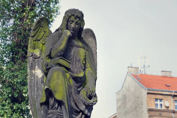 Tänkande Grubblande Ängel Staty Malostransky Kyrkogård Prag Tjeckien — Stockfoto