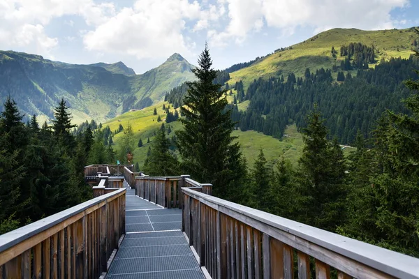 Der Höchste Baumkronenweg Europas Saalbach Hinterglemm Alpen Österreich Sommertag — Stockfoto