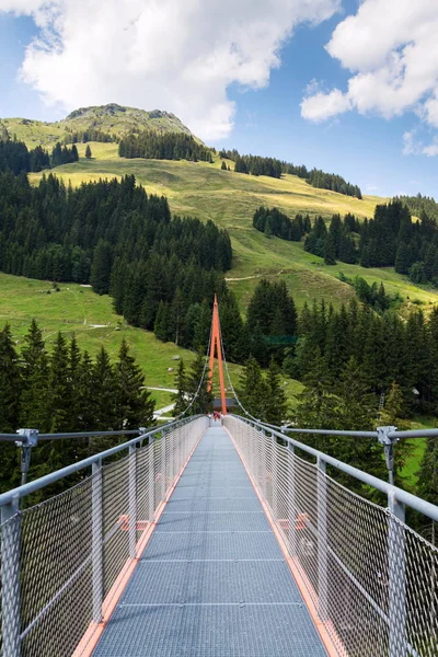 Alpejskie Zawieszenie Most Golden Gate Saalbach Hinterglemm Dolina Alpy Austria — Zdjęcie stockowe