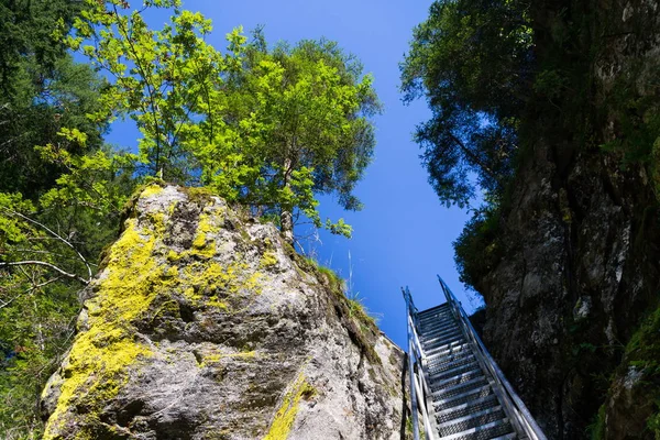 Ladder stairs on Alpine trail through Hell gorge canyon with Riesach waterfalls from lake Riesachsee near Schladming, Austria