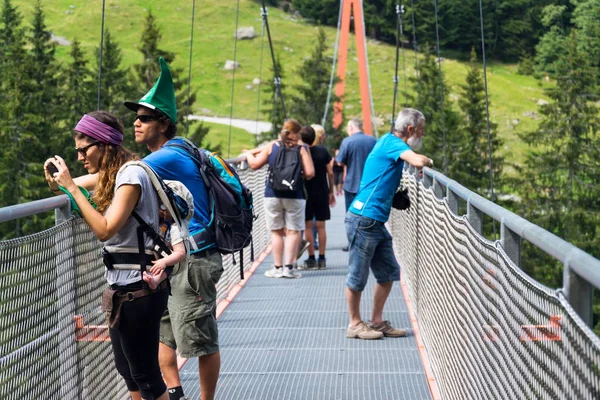 ザールバッハ ヒンターグレム バレー 2015 日ヒンターグレム オーストリアのアルプスの山々 に高山の黄金の門吊り橋ヒンターグレム オーストリア — ストック写真