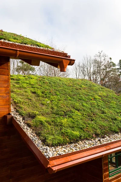 Casa Madera Con Extenso Techo Verde Cubierto Vegetación — Foto de Stock