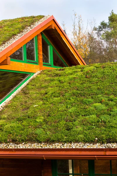 Casa Madeira Com Extenso Telhado Vivo Verde Coberto Com Vegetação — Fotografia de Stock