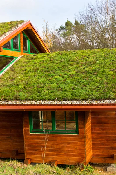 Drewniany Dom Rozległym Zielonym Dachem Pokrytym Roślinnością — Zdjęcie stockowe