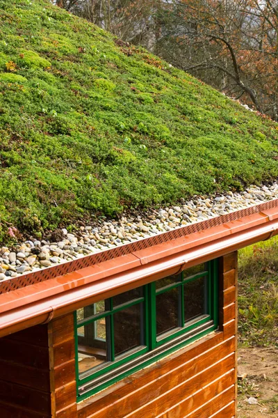 Casa Madeira Com Extenso Telhado Vivo Verde Coberto Com Vegetação — Fotografia de Stock