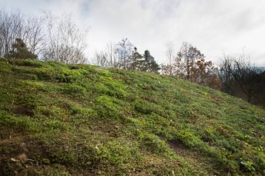 Geniş yeşil çimen çatı bitki örtüsü ile yaşayan içinde gördün mü