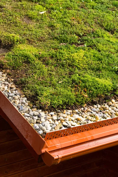 Casa Madera Con Extenso Techo Verde Cubierto Vegetación —  Fotos de Stock