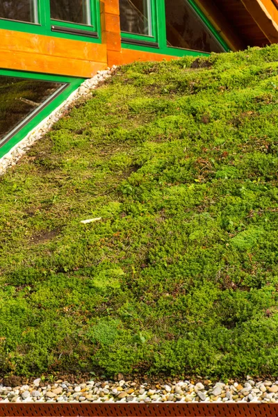 Casa Madeira Com Extenso Telhado Vivo Verde Coberto Com Vegetação — Fotografia de Stock