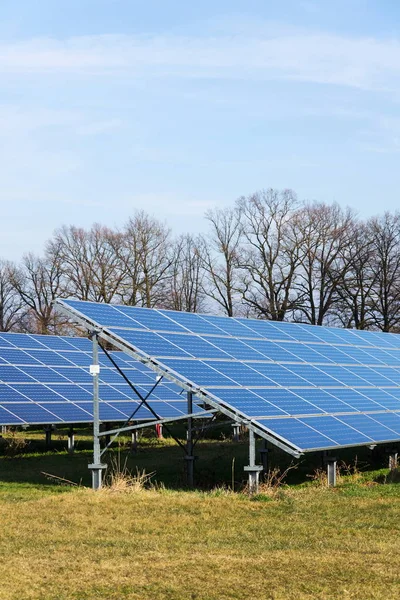 Paneles Solares Azules Granja Central Fotovoltaica Con Árboles Fondo Concepto — Foto de Stock