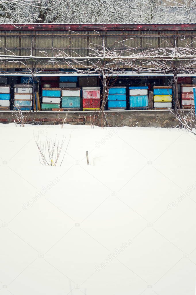 Vintage colorful wooden beehives on snowy winter freezing day