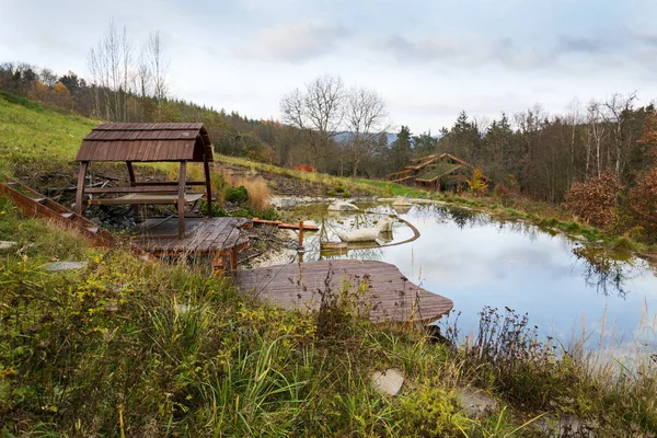 Hübscher Holzsteg Naturschwimmteich Mit Ausgiebig Begrüntem Sodendach Hintergrund Einem Farbenfrohen — Stockfoto