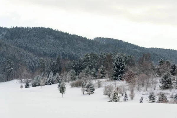 Neve Sul Campo Golf Inverno Sfondo Della Foresta Spazio Copia — Foto Stock