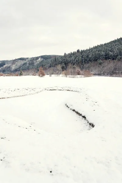 Schnee Auf Dem Golfplatz Winter Waldhintergrund Kopierraum — Stockfoto