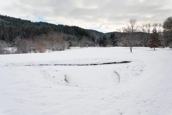 Neve Sul Campo Golf Inverno Sfondo Della Foresta Spazio Copia — Foto Stock