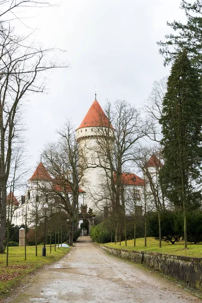 Konopiste Slottet Exteriör Utanför Staden Benesov Vinter Dag Böhmen Tjeckien — Stockfoto