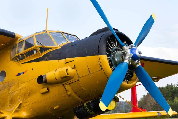 Plasy Czech Republic Апреля 2017 Yellow Antonov Stands Airfield April — стоковое фото