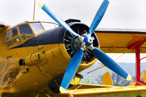 Plasy Czech Republic Апреля 2017 Yellow Antonov Stands Airfield April — стоковое фото