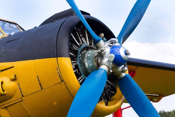 Plasy République Tchèque Avril 2017 Jaune Antonov Tient Sur Aérodrome — Photo