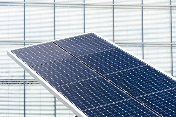 Bandejas Solares Giratorias Azules Inclinadas Eje Seguidor Futuro Concepto Innovación —  Fotos de Stock