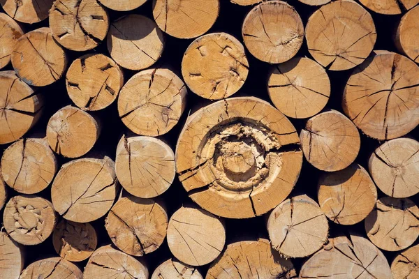 成堆的工作木圆形清楚美丽的原木 堆积的木柴背景 在锯切 阳光明媚的一天的看法 — 图库照片