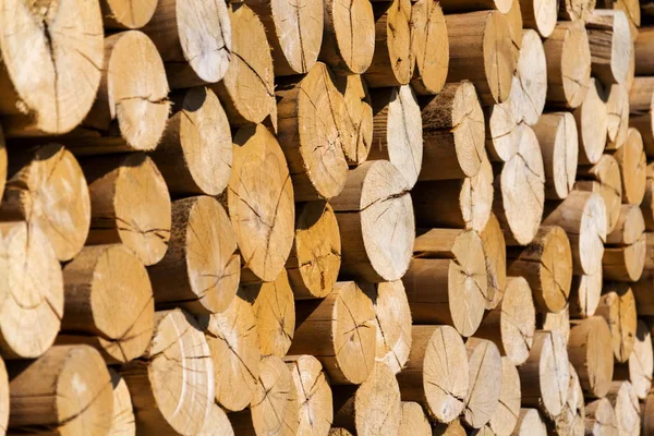Stapel Van Bewerkte Houten Rondachtige Duidelijk Mooie Logs Gestapelde Brandhout — Stockfoto