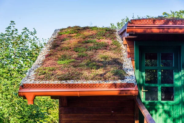 Extenso Telhado Sod Ecológico Verde Vivo Coberto Com Vegetação Principalmente — Fotografia de Stock