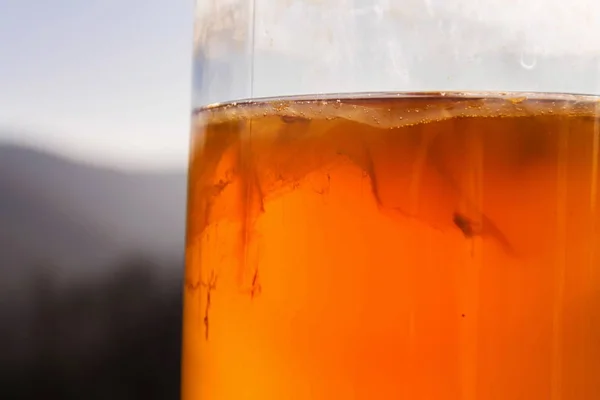 Kombucha Naturalna Sfermentowana Herbata Szklanym Słoiku Zdrowy Napój Azjatyckiego Oryginału — Zdjęcie stockowe