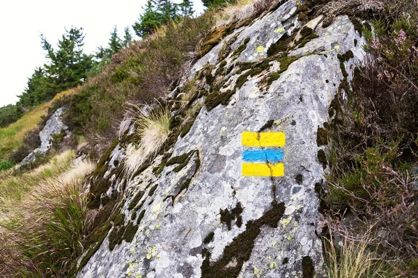Сине Желтые Квадратные Маркеры Символ Пылающей Тропы Горы Кршоше Чехия — стоковое фото