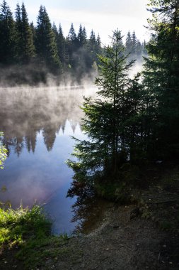 Pohorsky göletinin yüzeyi üzerindeki sabah sisi Pohorska Ves, Novohradske Dağları, Cesky Krumlov Bölgesi, Güney Bohemya Bölgesi yakınlarındaki Jiricka rezervuarı olarak bilinir.