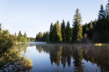 Pohorsky göletinin yüzeyi üzerindeki sabah sisi Pohorska Ves, Novohradske Dağları, Cesky Krumlov Bölgesi, Güney Bohemya Bölgesi yakınlarındaki Jiricka rezervuarı olarak bilinir.