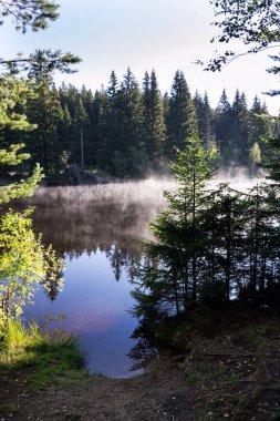 Pohorsky göletinin yüzeyi üzerindeki sabah sisi Pohorska Ves, Novohradske Dağları, Cesky Krumlov Bölgesi, Güney Bohemya Bölgesi yakınlarındaki Jiricka rezervuarı olarak bilinir.